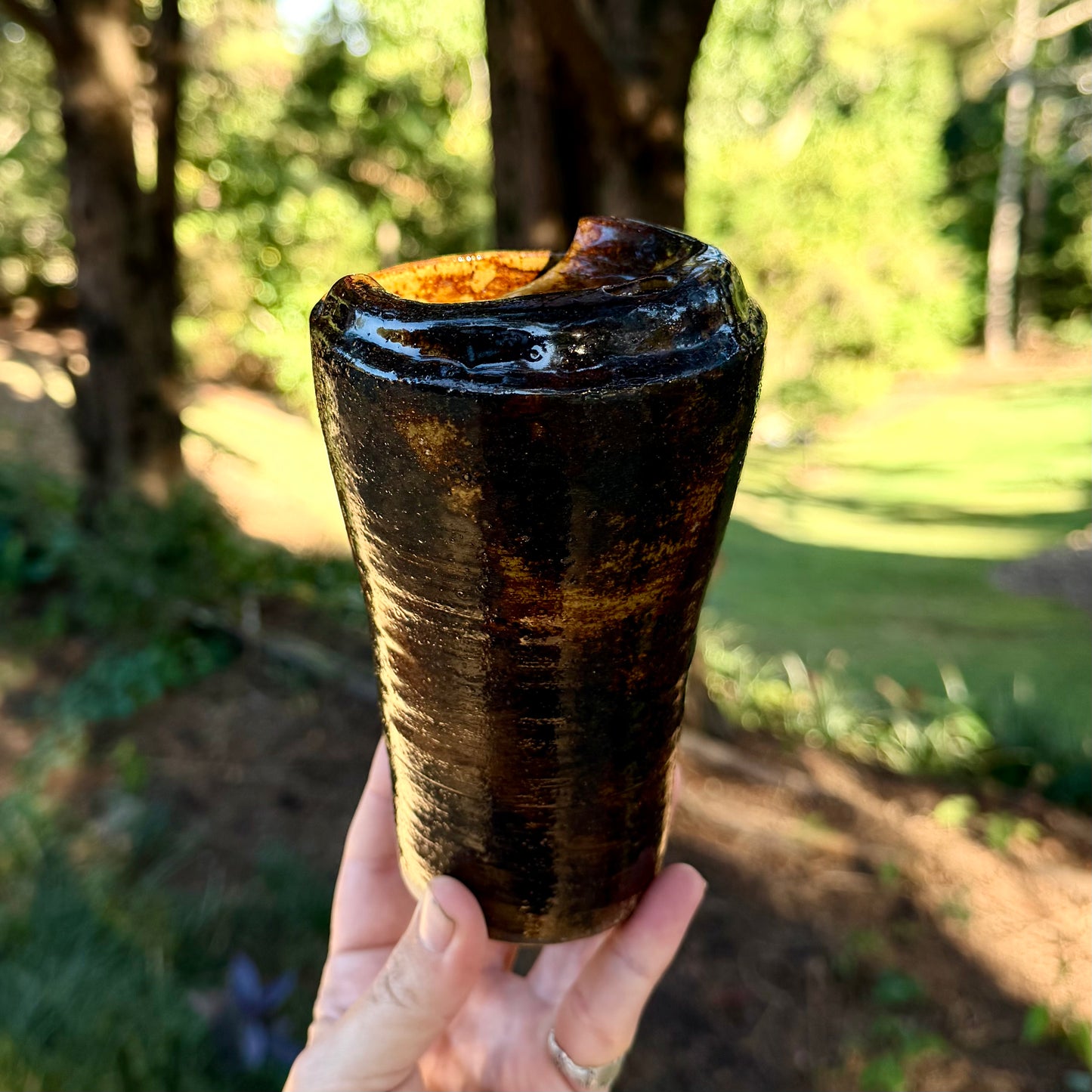 tortoise shell traveler